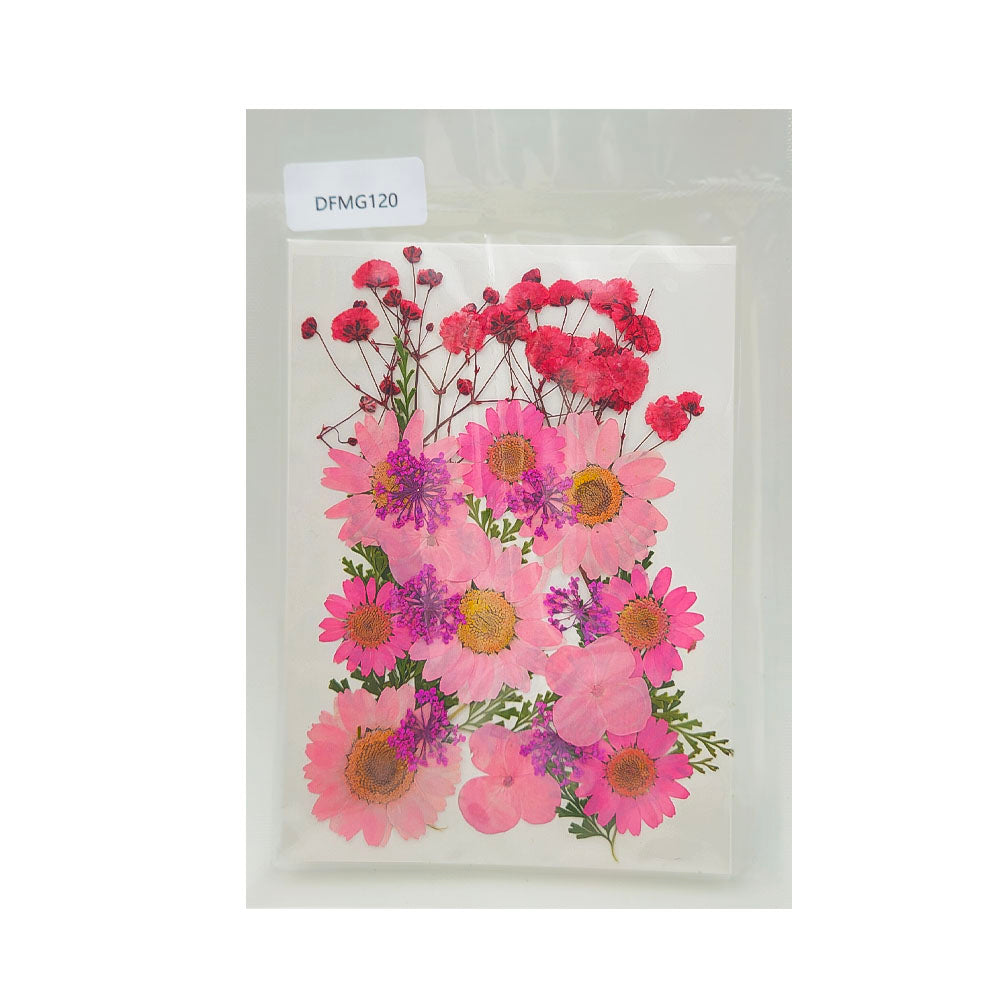 Gift To Love | Dry Flower Sheet | Code : DFMG120