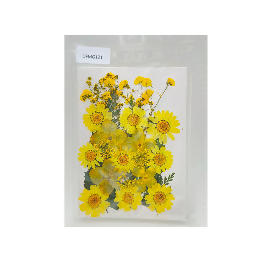 Gift To Love | Dry Flower Sheet | Code : DFMG121