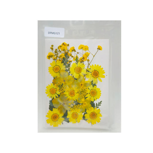 Gift To Love | Dry Flower Sheet | Code : DFMG121