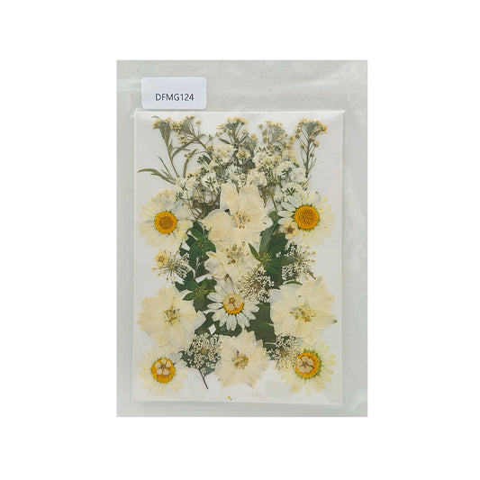 Gift To Love | Dry Flower Sheet | Code : DFMG124