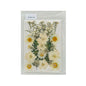 Gift To Love | Dry Flower Sheet | Code : DFMG124
