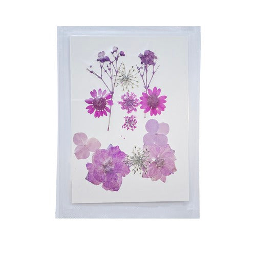 Gift To Love | Dried Flower Press | Code : DFPN01