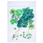 Gift To Love | Dried Flower Press | Code : DFPN05