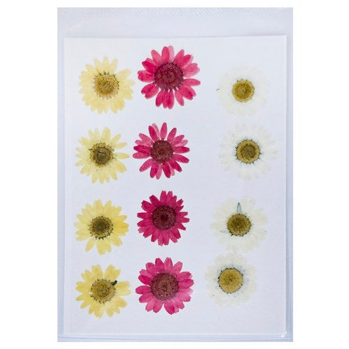 Gift To Love | Dried Flower Press | Code : DFPN18