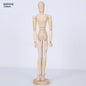 Gift To Love | Wooden Manikin Male | Size : 12 Inch | Code : E031412