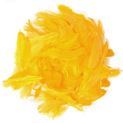 Gift To Love | Feather Artificial Small | Color : Mix Colour | Code : FASM00