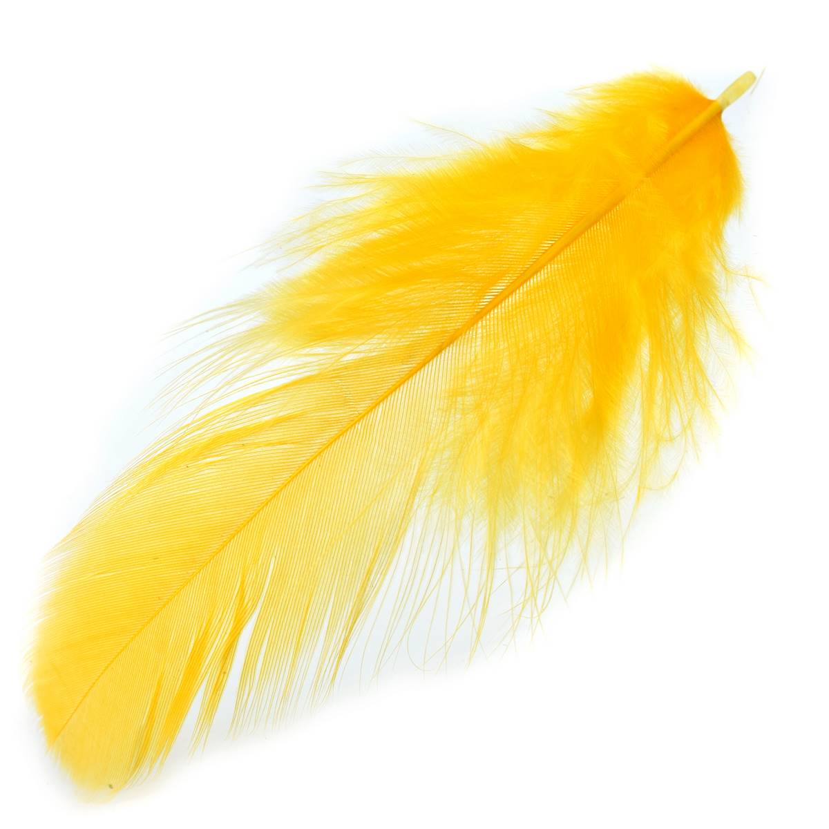 Gift To Love | Feather Artificial Small | Color : Mix Colour | Code : FASM00