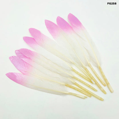 Gift To Love | Feather Shaded Glittered | Pcs : 10 Pcs | Code : FG2S8