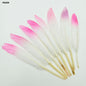 Gift To Love | Feather Shaded Glittered | Pcs : 10 Pcs | Code : FG2S9