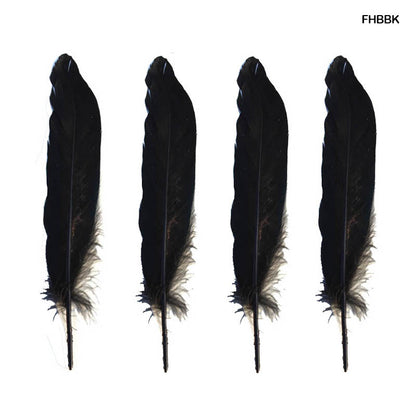 Gift To Love | Feather Hard Big | Color : Black | Pcs : 10 Pcs | Code : FHBBK