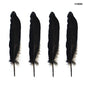 Gift To Love | Feather Hard Big | Color : Black | Pcs : 10 Pcs | Code : FHBBK