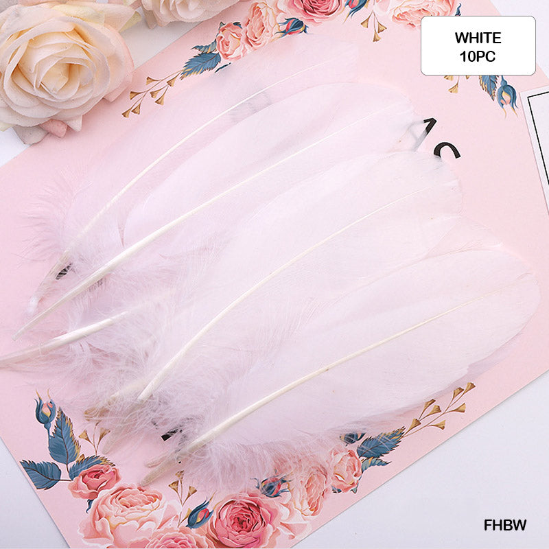 Gift To Love | Feather Hard Big | Color : White | Pcs : 10 Pcs | Code : FHBW