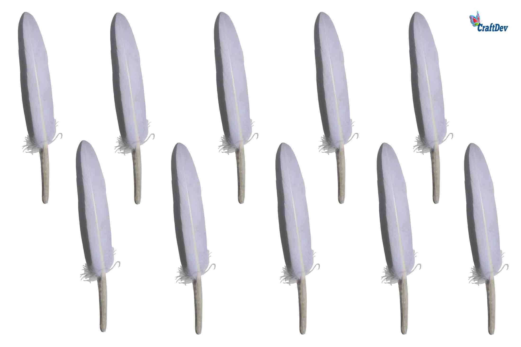 Feather Hard Mini 500Pc White-Gift To Love-Art & Craft