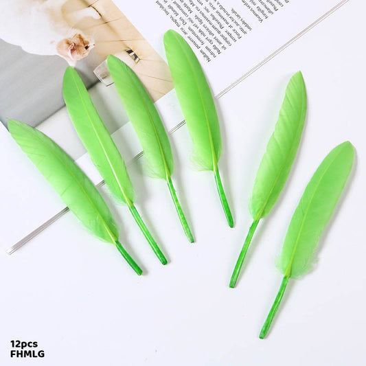 Gift To Love | Feather Hard Small | Color : Light Green | Pcs : 12 Pcs | Code : FHMLG