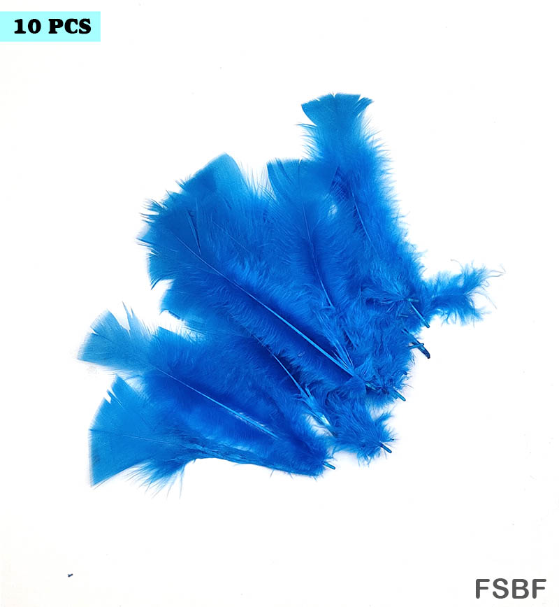 Gift To Love | Feather Soft Big | Color : Firozi | Pcs : 10 Pcs | Code : FSBF