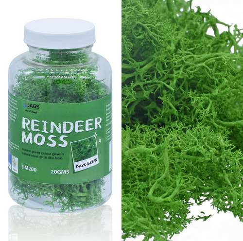 Gift To Love | Jags Reindeer Moss 20 Grms Dark Greeen | Code : JIM200