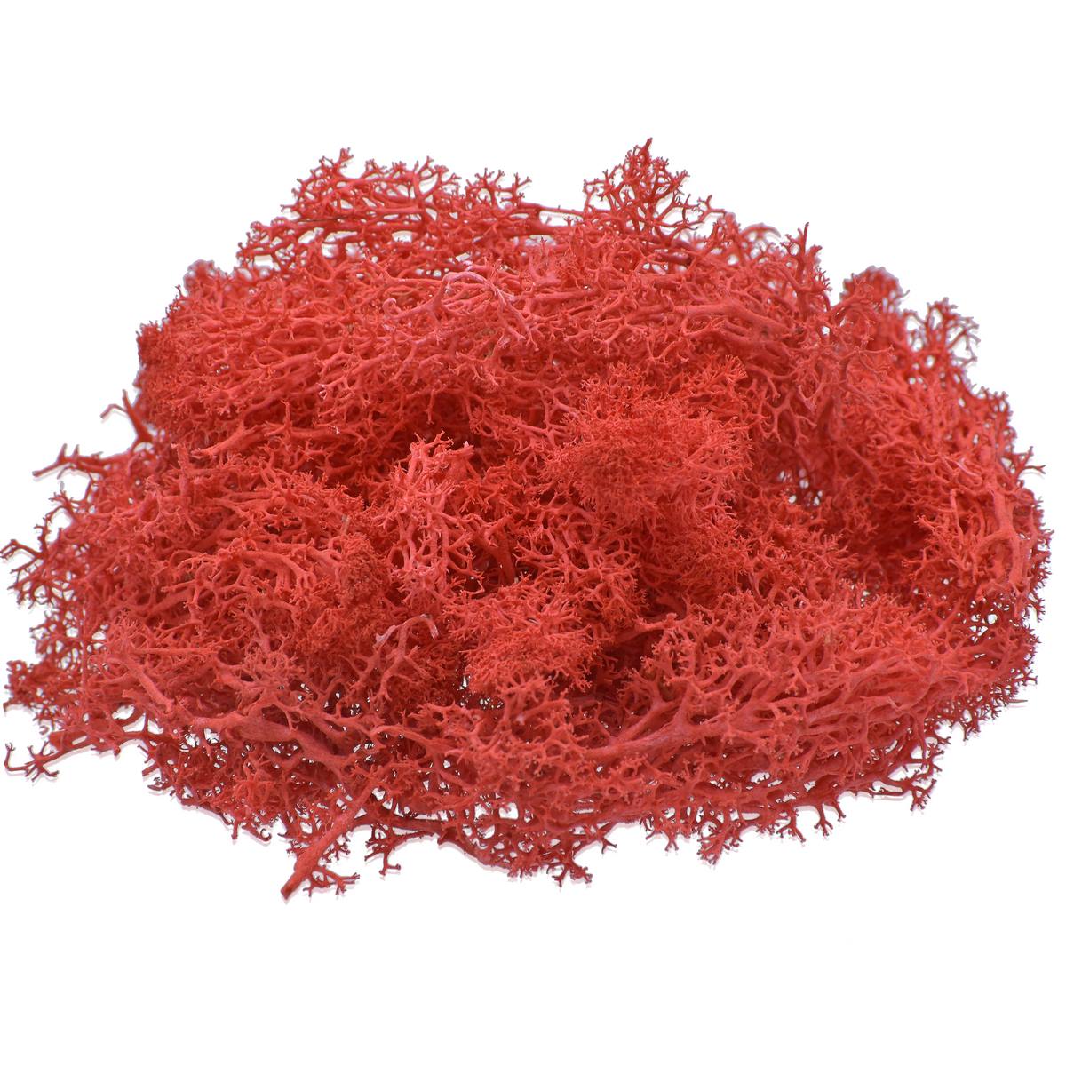 Gift To Love | Reindeer Moss | Color : Red | Pcs : 20 Grms | Code : JIM204