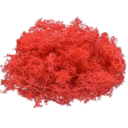 Gift To Love | Reindeer Moss | Color : Red | Pcs : 20 Grms | Code : JIM204