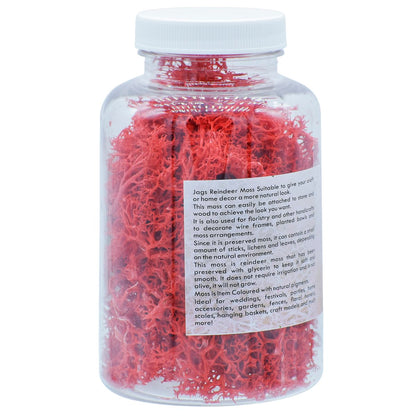 Gift To Love | Reindeer Moss | Color : Red | Pcs : 20 Grms | Code : JIM204