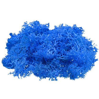 Gift To Love | Reindeer Moss | Color : Dark Blue | Pcs : 20 Grms | Code : JIM205