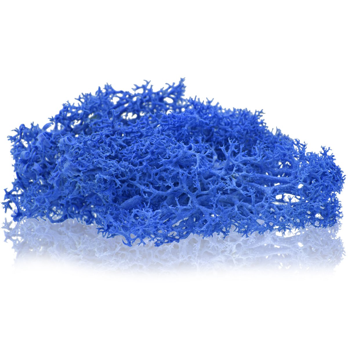 Gift To Love | Reindeer Moss | Color : Dark Blue | Pcs : 20 Grms | Code : JIM205