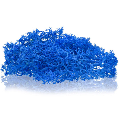 Gift To Love | Reindeer Moss | Color : Dark Blue | Pcs : 20 Grms | Code : JIM205
