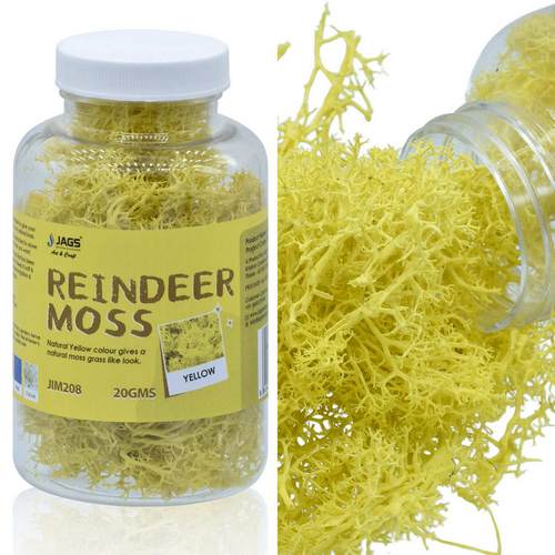 Gift To Love | Jags Reindeer Moss 20 Grms Yellow | Code : JIM208