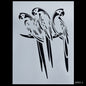 Gift To Love | Parrot Design Stencil | Size : A5 | Code : JSPA5-2
