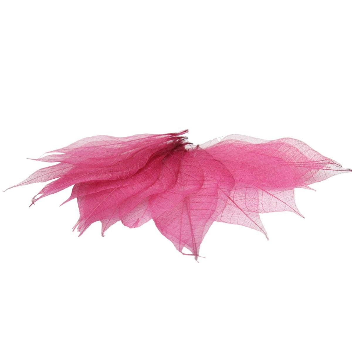 Gift To Love | Dried Veins Leaf | Code : LF3X25