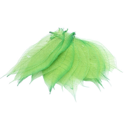 Gift To Love | Dried Veins Leaf | Code : LF4X25