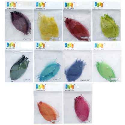 Gift To Love | Dried Veins Leaf | Code : LF4X25