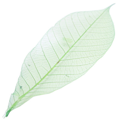Gift To Love | Dried Veins Leaf | Code : LF4X25