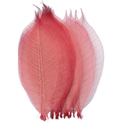 Gift To Love | Dried Veins Leaf | Code : LF5X25