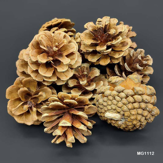 Gift To Love | Wood Flower Pine Cone | Code : MG1112