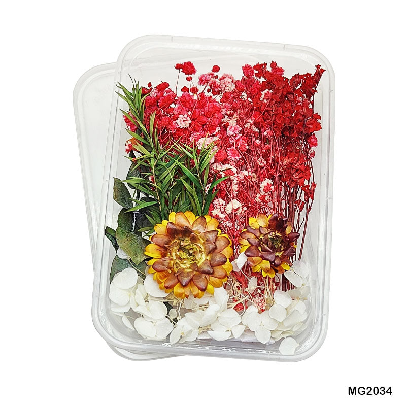 Dry Flower Box Mg2034-Gift To Love-Art & Craft