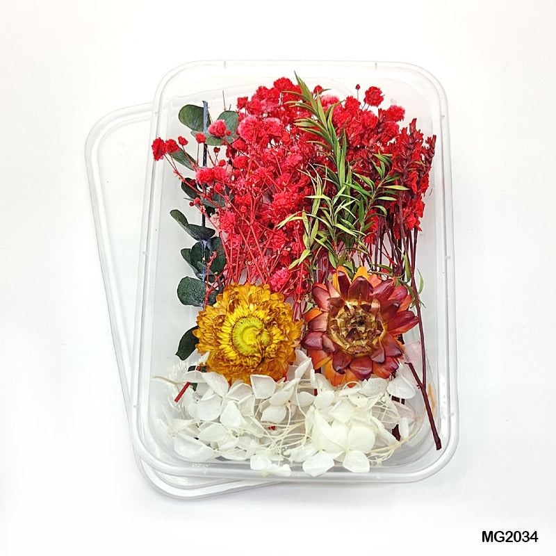 Dry Flower Box Mg2034