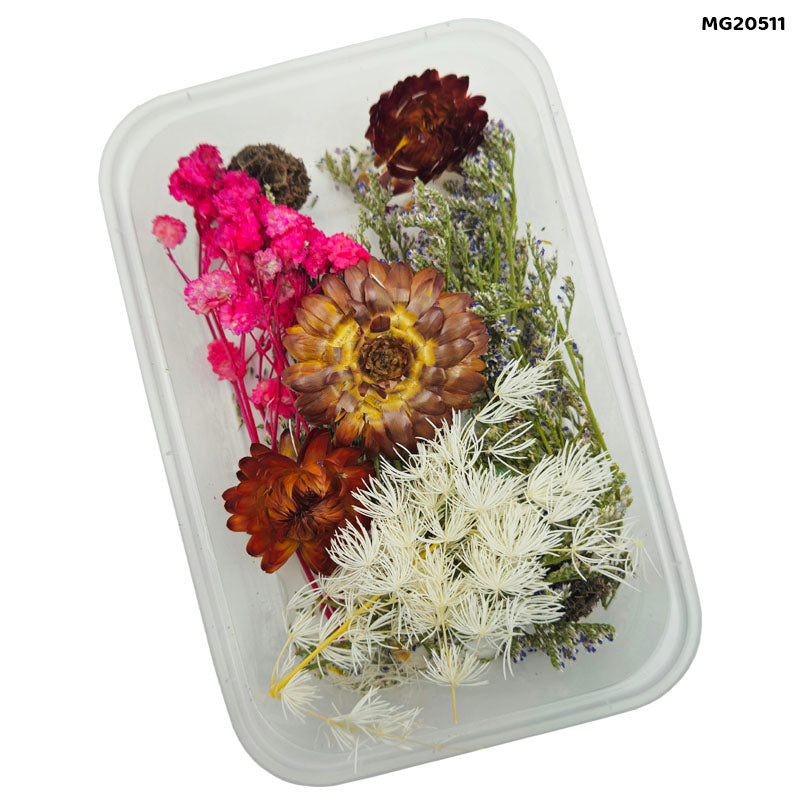 Dry Flower Box Mg-205-11