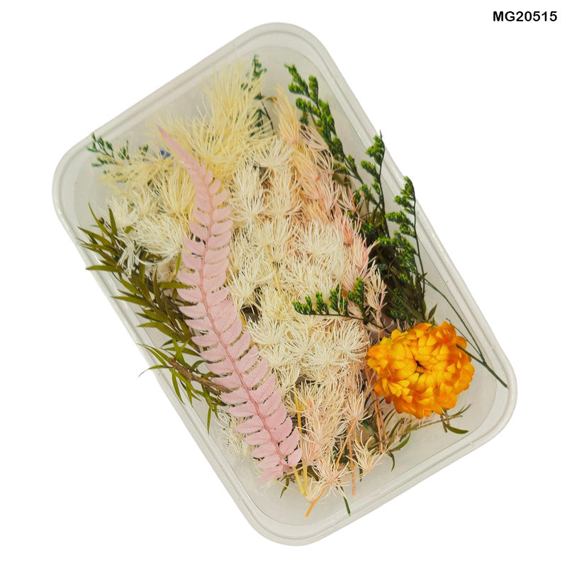 Gift To Love | Dry Flower Box | Code : MG20515