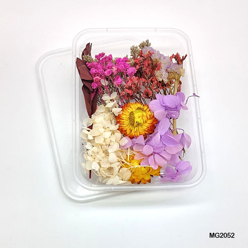 Dry Flower Box Purple Mg-205-2-Gift To Love-Art & Craft
