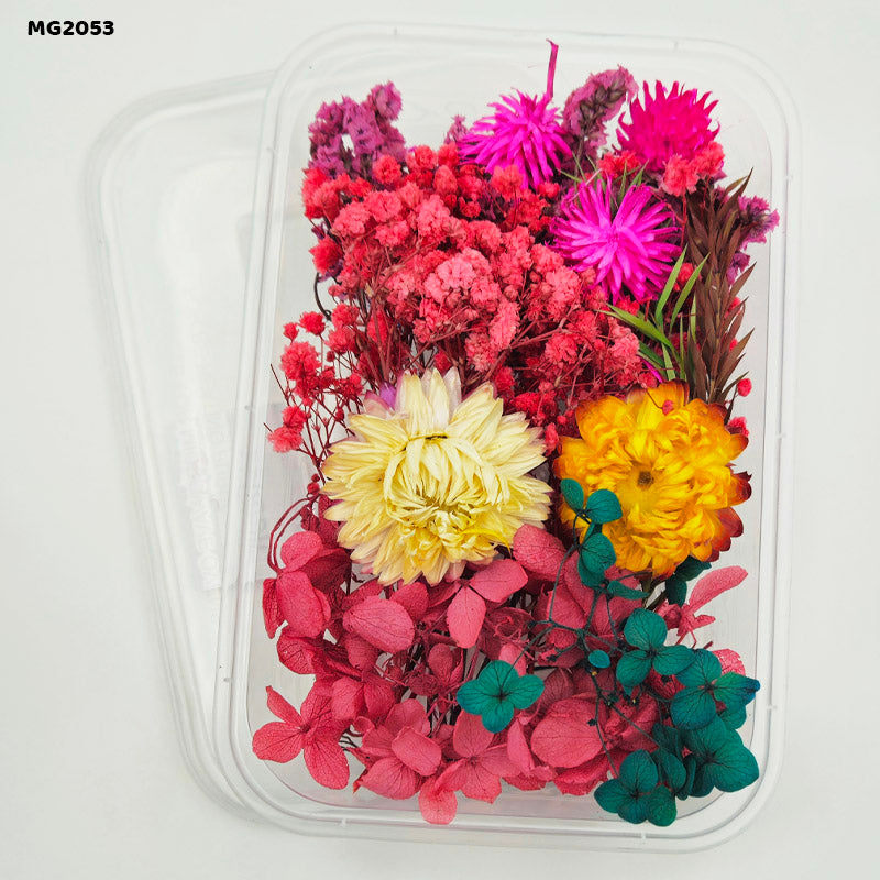 Dry Flower Box Red Mg-205-3 (Dfbr)