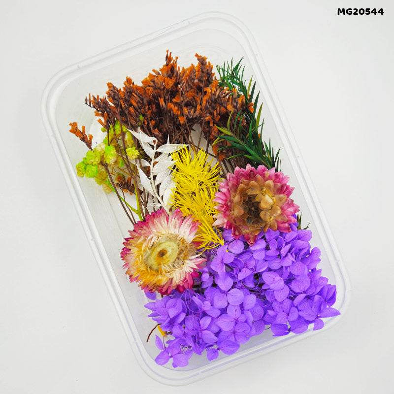 Dry Flower Box Mg205-44