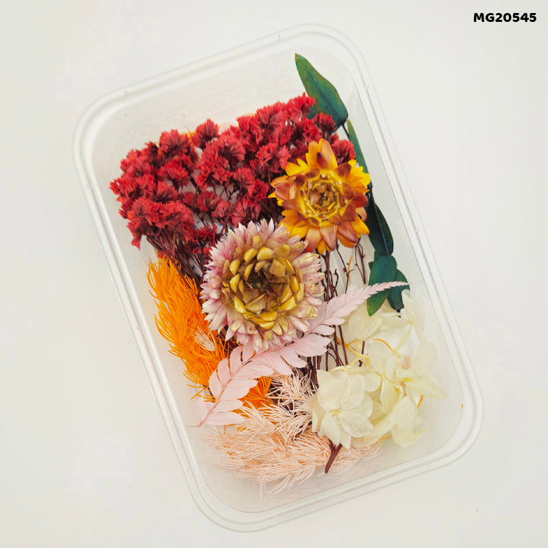 Dry Flower Box Mg205-45