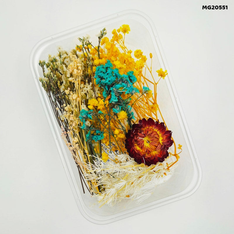 Dry Flower Box Mg20551