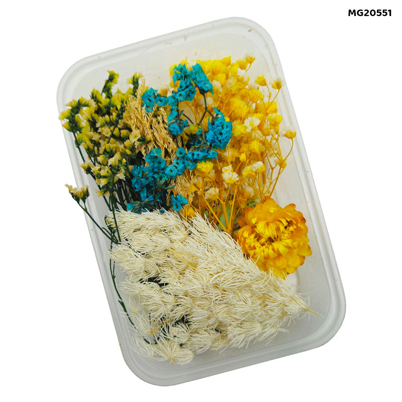 Dry Flower Box Mg20551