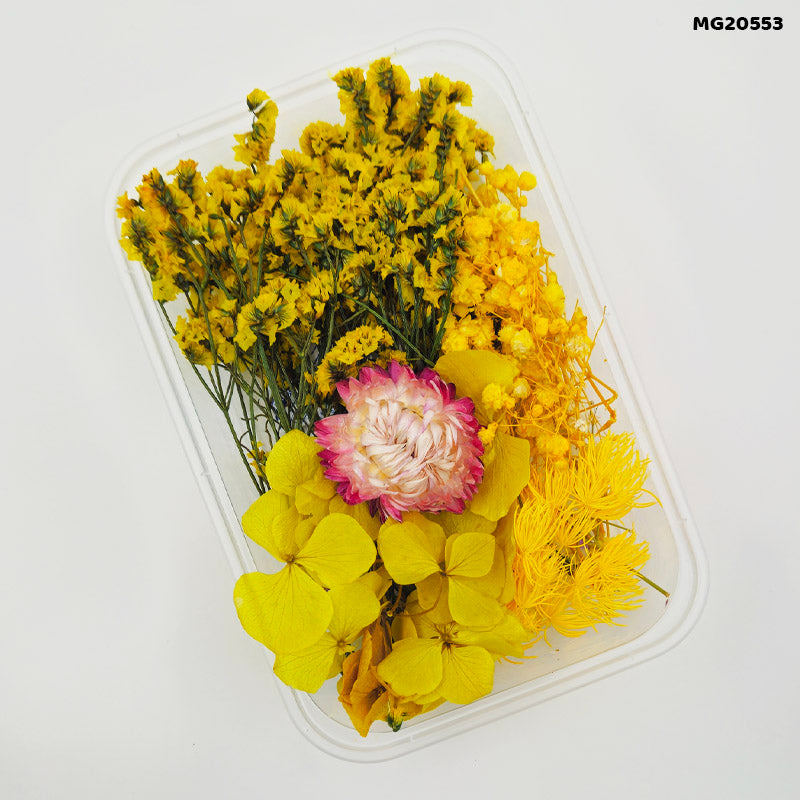 Dry Flower Box Mg205-53