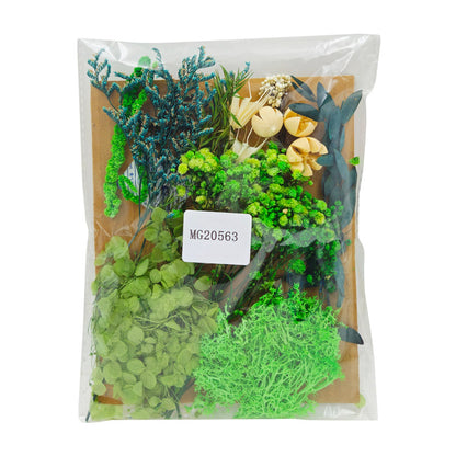 Gift To Love | Dry Flower Big Packet | Code : MG20563