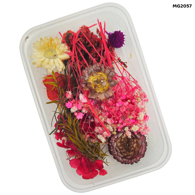 Dry Flower Box Mg-205-7