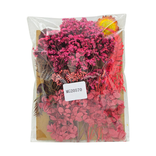 Gift To Love | Dry Flower Big Packet | Code : MG20570