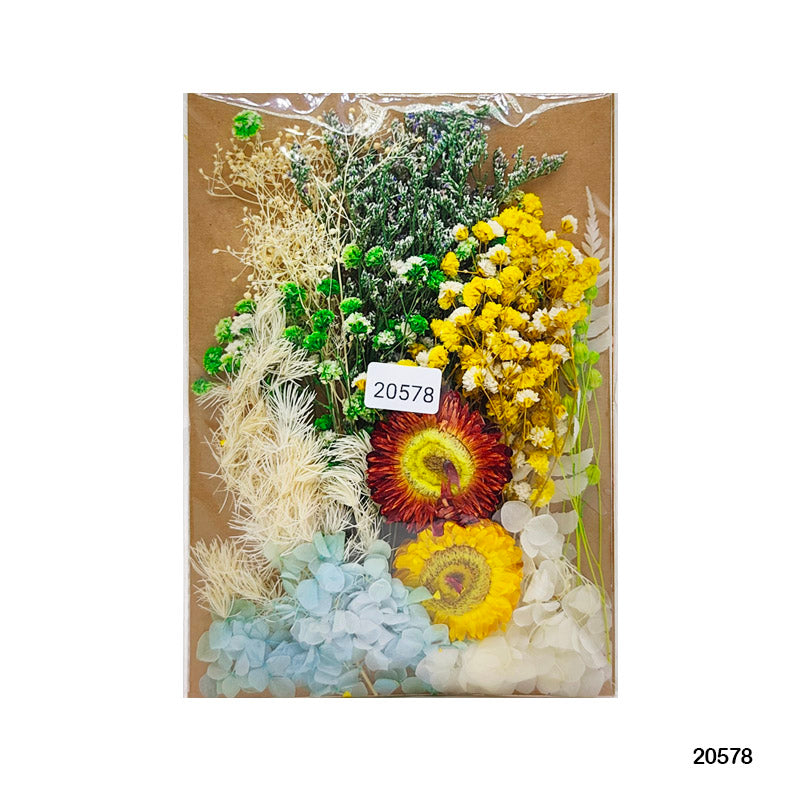 Gift To Love | Dry Flower Big Packet | Code : MG20578