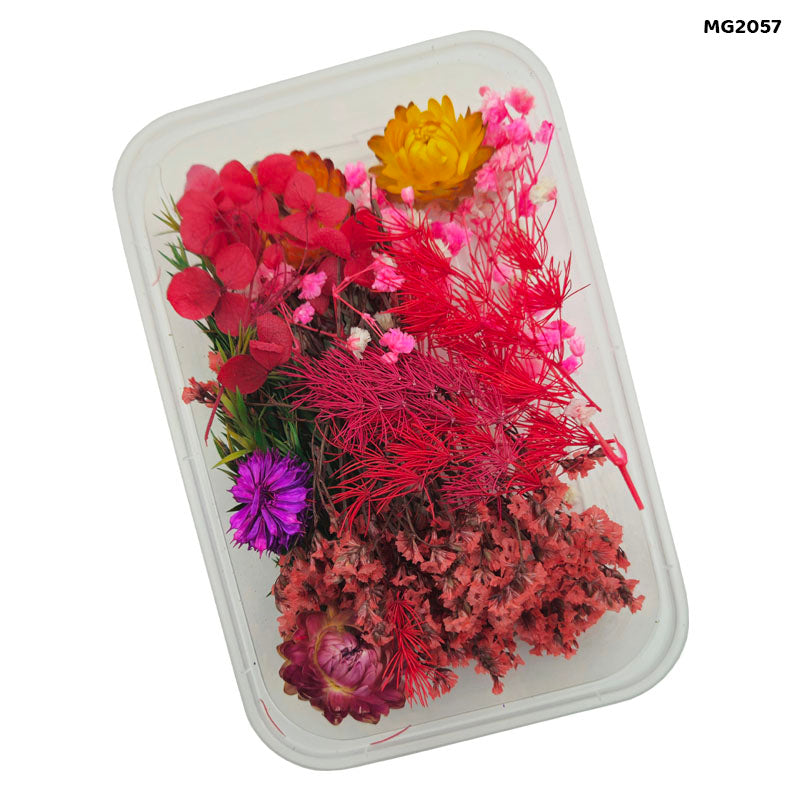 Dry Flower Box Mg-205-7